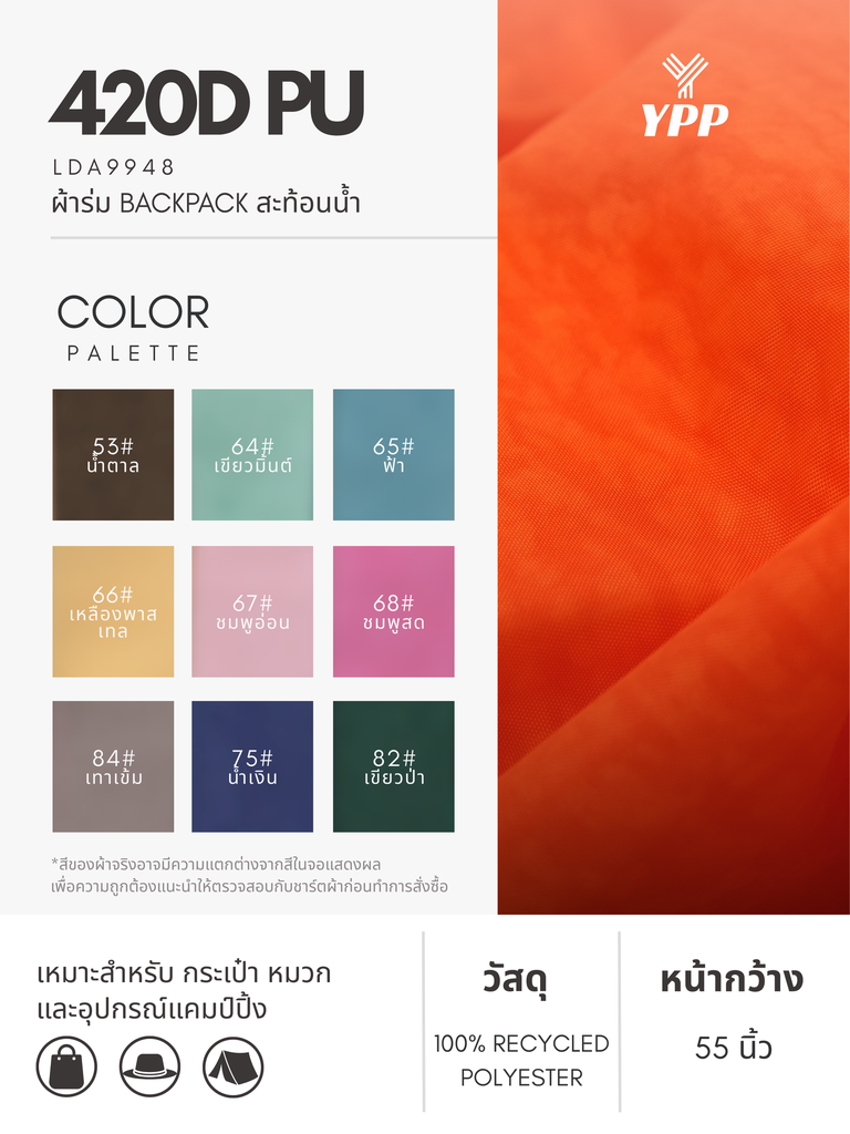 24.webp