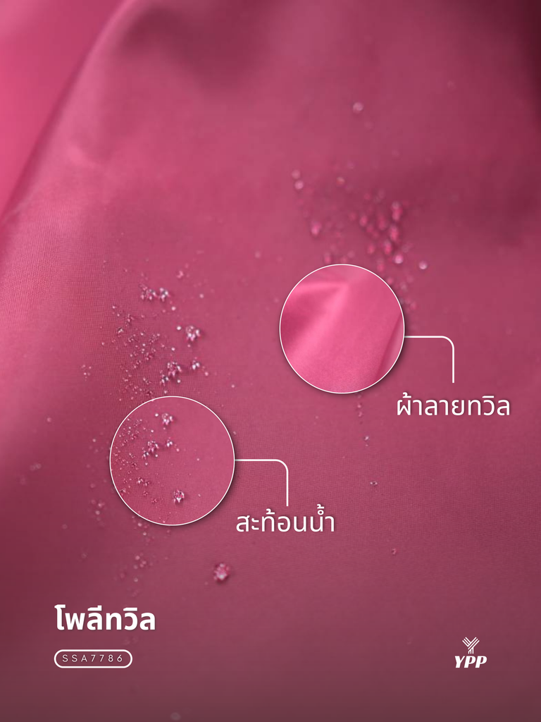 25.webp