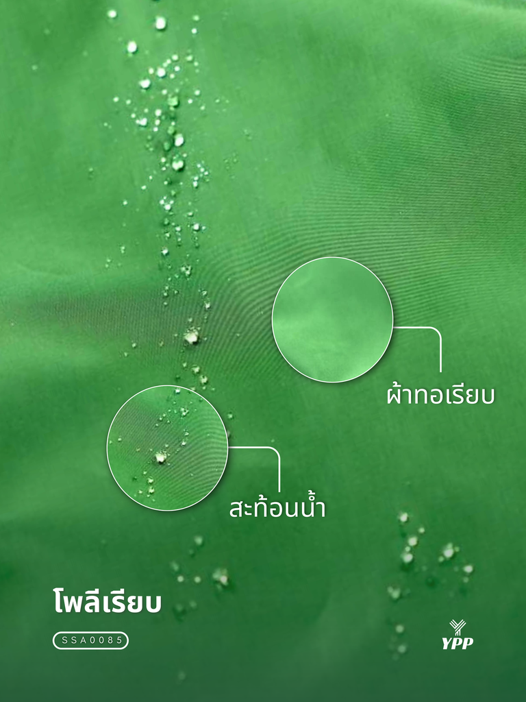 19.webp