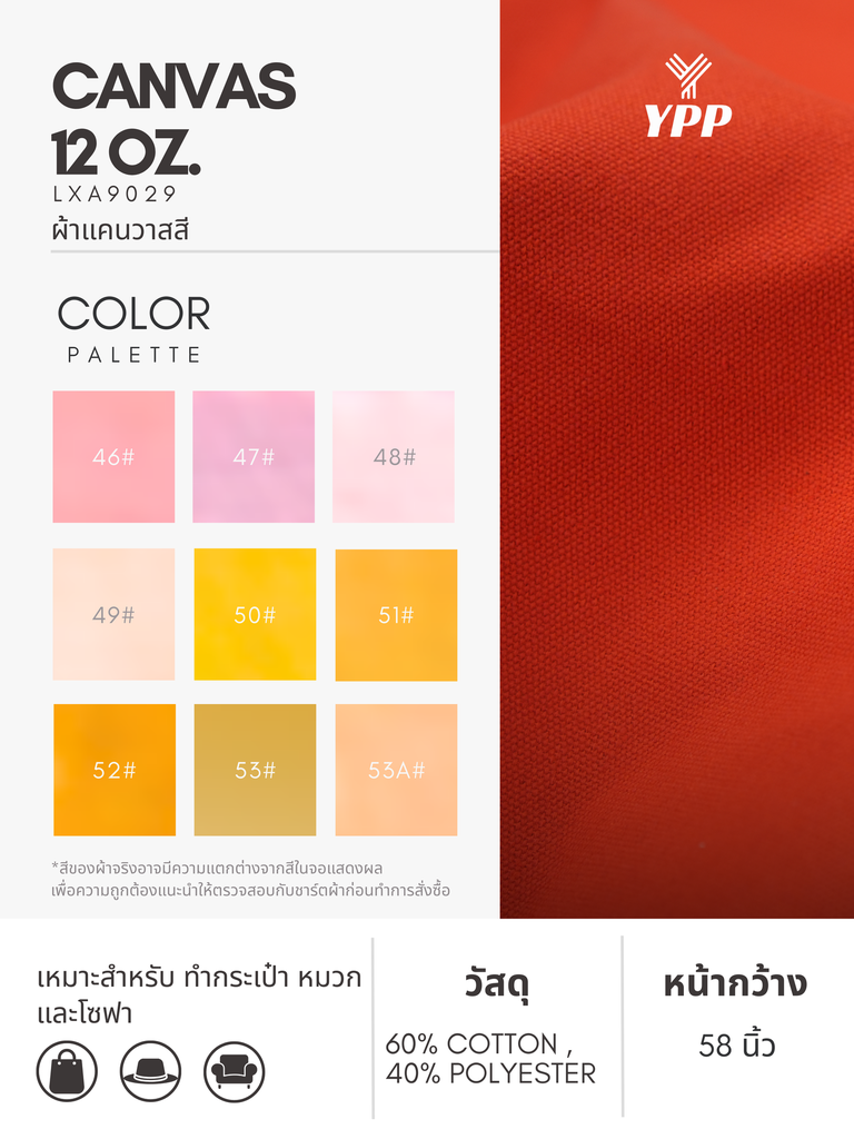 100.webp
