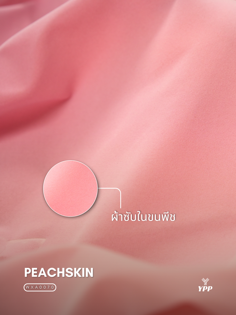 39.webp