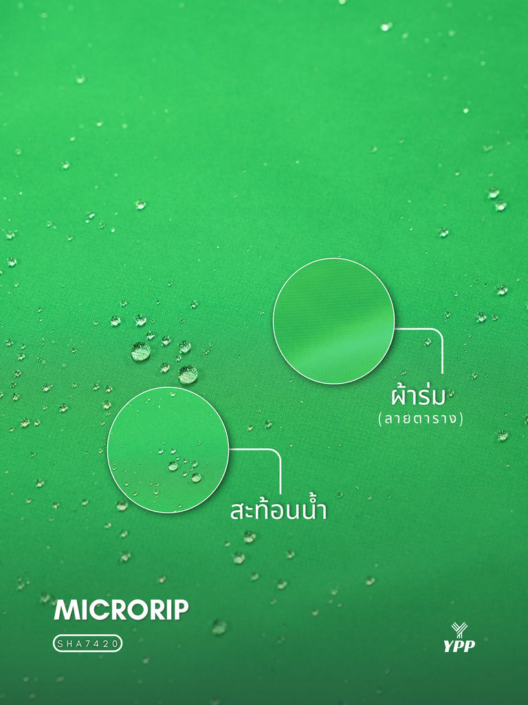 55.webp