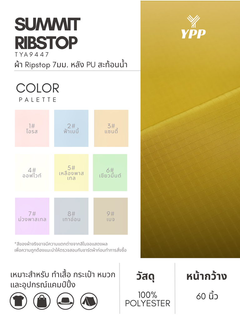 19.webp